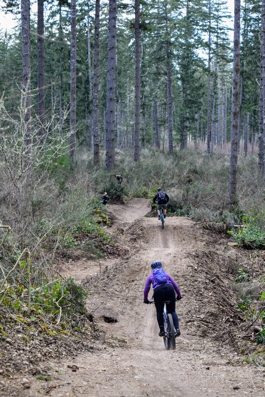 Mountain bikers on hilly trail through woods