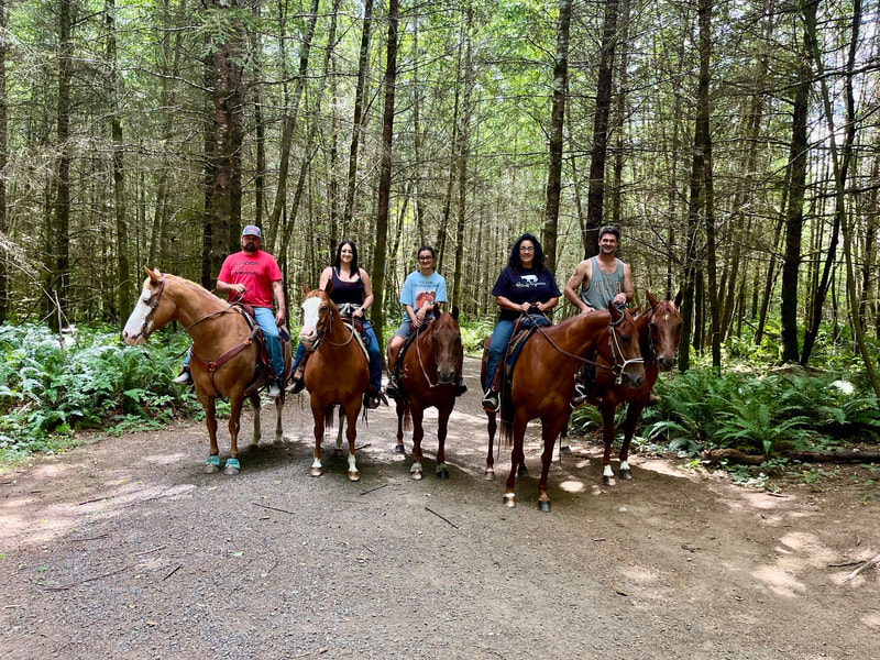 People on horses on a trail in the woods